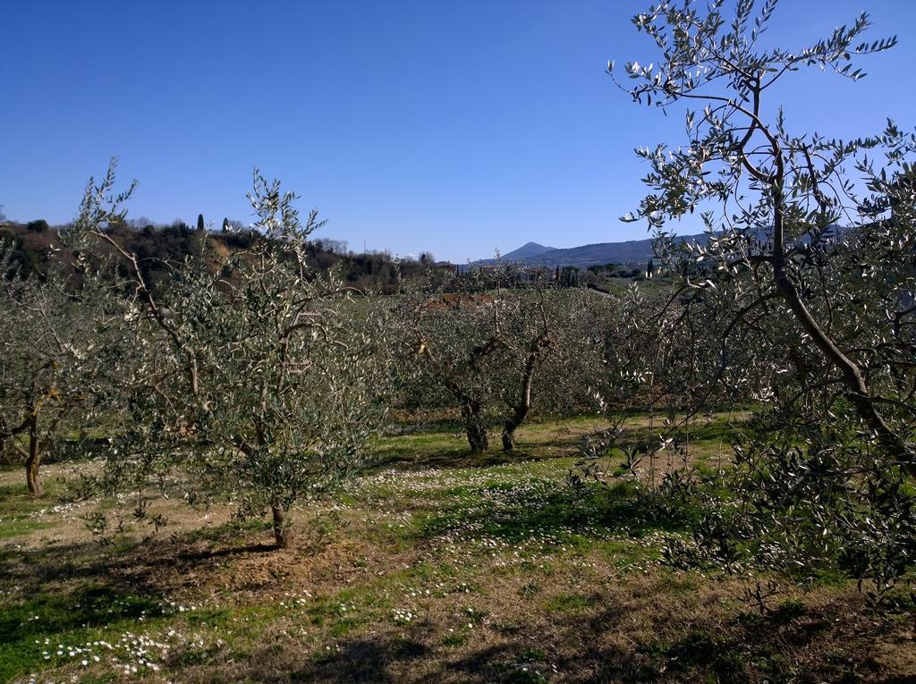 Madonna Della Rosa Διαμέρισμα Chianciano Terme Εξωτερικό φωτογραφία