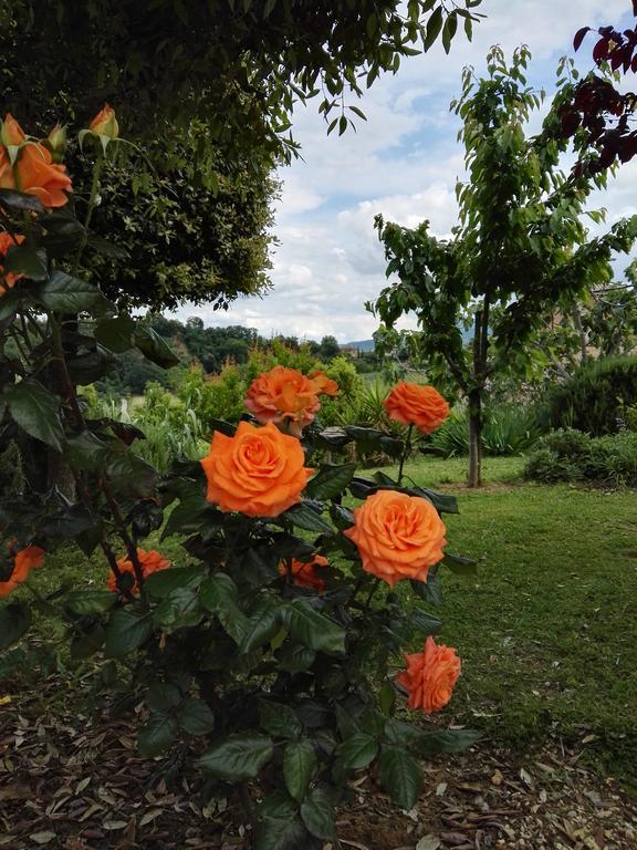 Madonna Della Rosa Διαμέρισμα Chianciano Terme Εξωτερικό φωτογραφία